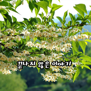 끝나지 않은 이야기