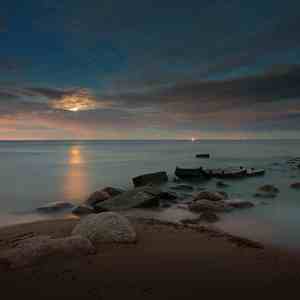 深思 (鸟与古琴)