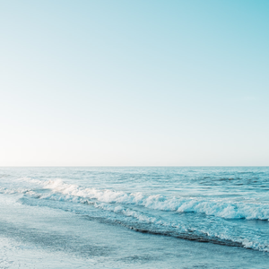 迷失在那年夏天