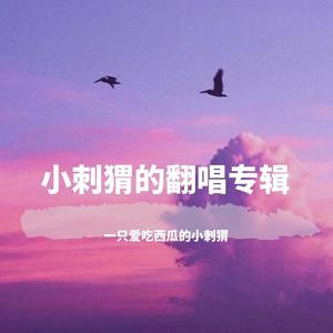 遗失的美好(翻自 张韶涵）（翻自 张韶涵）