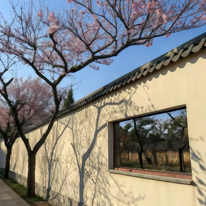 《借你手触摸永恒》