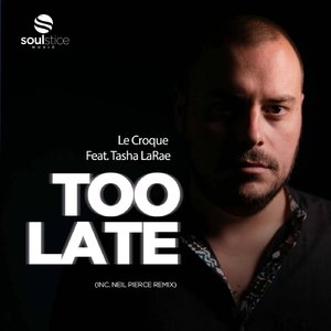Too Late (Neil Pierce Instrumental)