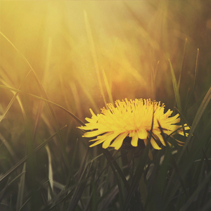 Kisaragi (Original Mix)