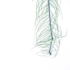 早春的酒店 (钢琴曲)