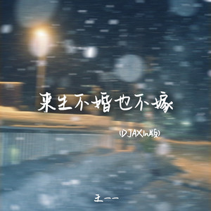 来生不婚也不嫁 (DJAX1n版伴奏)