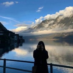 月亮和日落欢呼