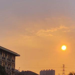 你在狗叫什么呀