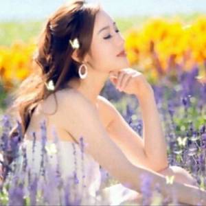 蝶儿蝶儿满天飞