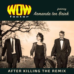 After Killing (The Remix)