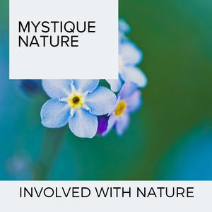 Night with Ocean Waves