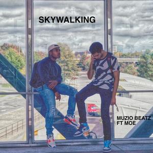Skywalking (feat. Moe)