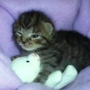 【POP】‘’小孩‘’ 悲伤 网感 钢琴 人声 情绪 叙事 Beat