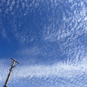 取经之痛与天庭之失