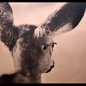 I Think You Feel Good