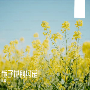栀子花的约定