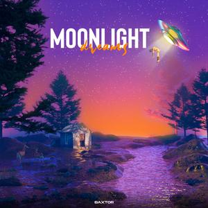 Moonlight Dreams