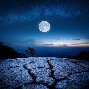 Rasgueos Entre Las Estrellas