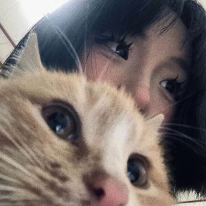 困住我的 是那个彼此手机滚烫 凌晨三点依然炽热真诚的心