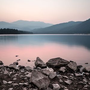 等你的日子不值一提