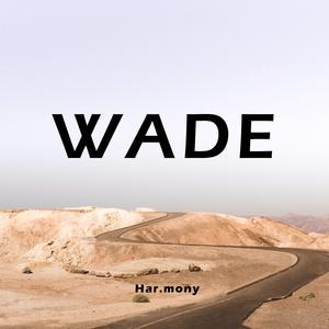 Wade