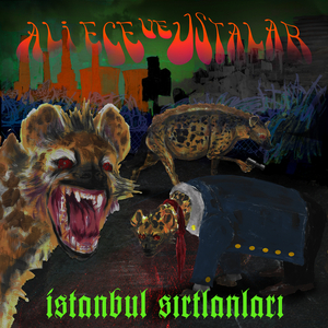 İstanbul Sırtlanları