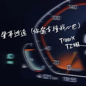 肇事逃逸（妳驾车撞我心巴）