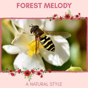 Tropical Rainstorm Aftermath