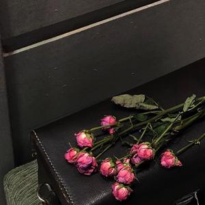 都市丽人生存报告（完整版）