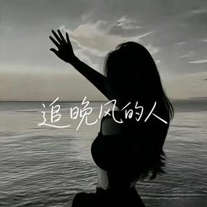 追晚风的人