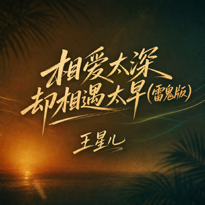 相爱太深却相遇太早(雷鬼版)