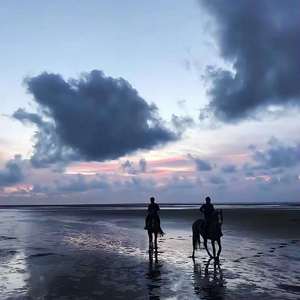 Light particle E（MI.YAO remix）