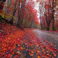 那年夏天错过的你