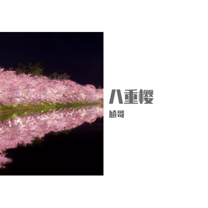泡泡-八重樱 piano.ver（尬哥 remix）