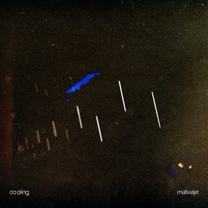 Malviaje