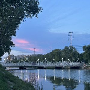 眉眼似你却非你