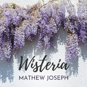 Wisteria