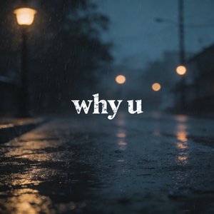 Why U(微醺氛围)