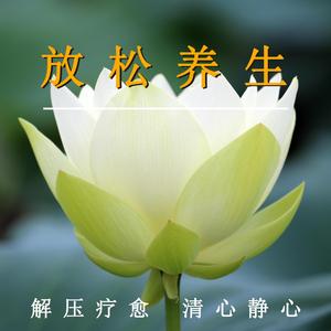 放松养生解压（轻音乐）