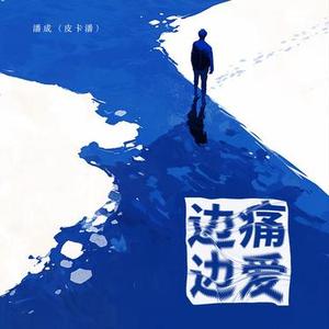边痛边爱 (DJ若棠版)0.8x版