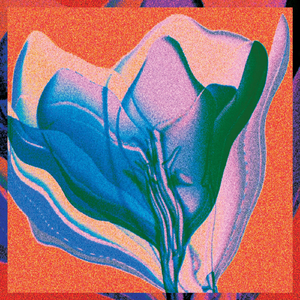 Vessel (Original Mix)