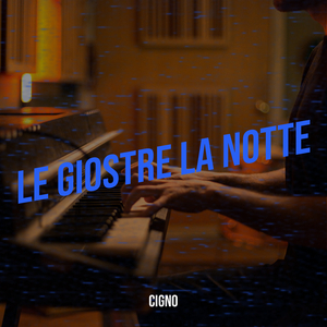 LE GIOSTRE LA NOTTE