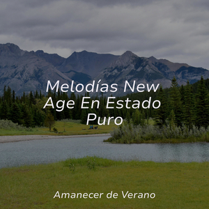 Viaje Cronológico Etéreo