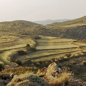 大雪已至冬意渐浓