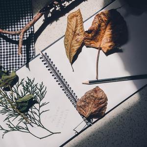 З нового аркуша