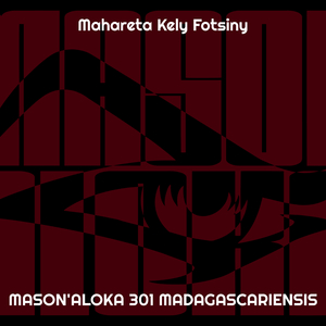 Mahareta Kely Fotsiny