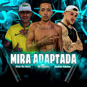 Mira Adaptada