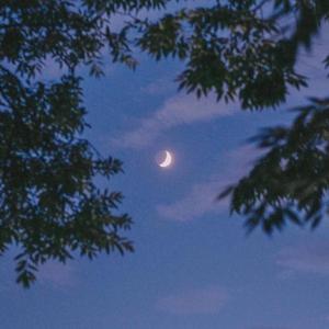 斯卡布罗集市 口哨版 Scarborough Fair