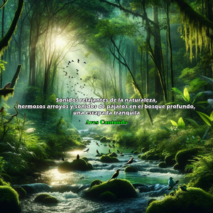 Corazón del Bosque, Hermosos Arroyos y Sonidos de Pájaros en el Bosque Profundo, Sinfonía Verde