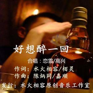 好想醉一回3 (高兴 恋雪对唱版 广场舞)