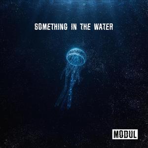 Something In The Water
